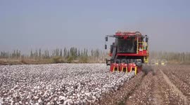 Xinjiang cotton -- the epitome of modern agriculture