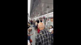 Chaos erupts as runaway pet bird takes flight inside train carriage