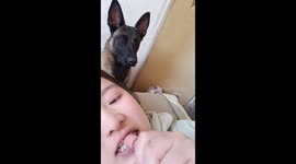 Pet dog catches food launched from owner's mouth