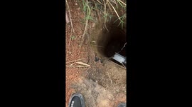 Local uses piece of metal to lift trapped frog from hole