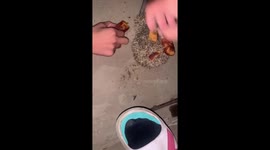 Locals balance food on hedgehog's back in China