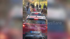 Moment hunt rider appears to strike their whip at cyclist
