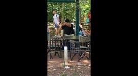 Snack snatch: Bold monkey theft at Iguazu National Park, Argentina