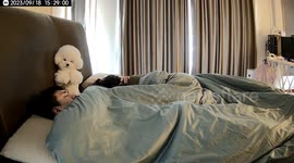 Bichon Frise Says It's Time to Get Up