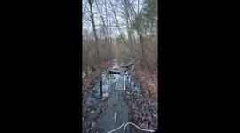 Mountain Bike Ride Through The Forest