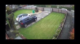 Dog Is Outsmarted By Owner