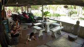 Energetic toddler topples over garden wall by accident