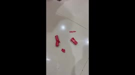 Caught red lipped! Three pet dogs look guilty after covering themselves in lipstick