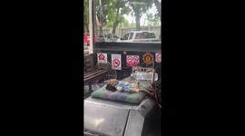 Adorable pet cat sleeps at the front of bus beside driver