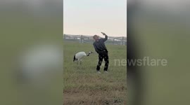 Crane playfully pecks man's bottom while he takes a selfie