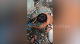 Gecko lunges to bite father as he releases it with his son