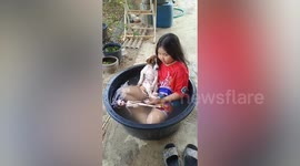 Girl cools off in tub with clingy puppy