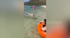 Tourist with poor balance capsizes his kayak while paddling