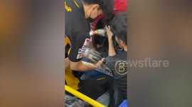 Mechanics remove litter of kittens from under customer's car wheel