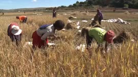 African officials expect further cooperation with China on agricultural development