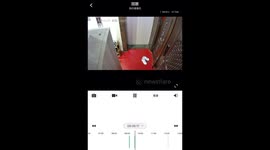 Nimble Mouse Scales Door Frame in China