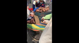 Adopted Stray Dog “Sweet Potato” Enjoys a Nap Time in the Company of Granny in Central China