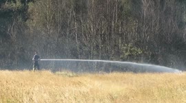 wanstead flats fire