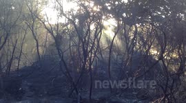 Fire on Wanstead Flats