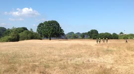 FIrefighters Heading To The Fire In Wanstead Flats