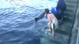 Dusty the Dolphin Attack