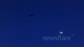 Bats in Sight - Nigerian Fruit Bats in the Evening Sky
