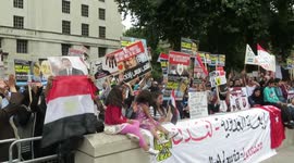 Anti Egyptian Government Protest In London