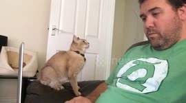 Working from home with Baloo