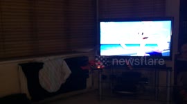 Cat takes down mini remote control helicopter