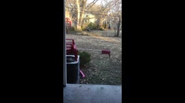Ultimate Warrior Ninja Squirrel Challenge: The Hang Down.