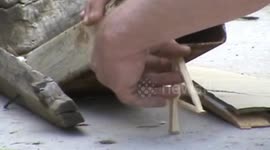 牛人奇葩手段捉老鼠