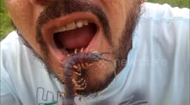 Man puts poisonous centipede in his mouth