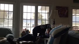 Wiggly dog proudly shows off toy