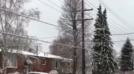 Ontario Ice Storm
