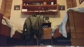 My dog jump from one bed to other