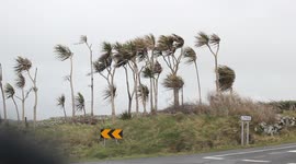 Storm Katie - Blowing Winds
