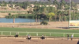 Leave no Ostrich behind...Oh wait... (Ostrich race fail)