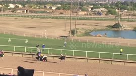 Ostrich rider falls off bird during race