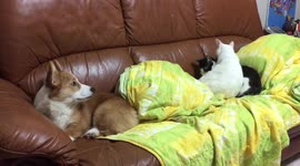 The single's feeling on Valentine's Day