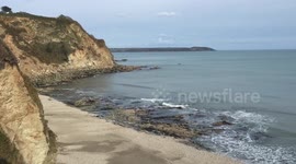 A rare moment watching a seal play in the waves at Poldark town Charlestown Cornwall