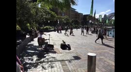 Busker serenades Sydneysiders on sunny day