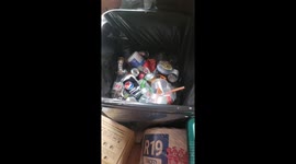 Trash Panda Ball Pit