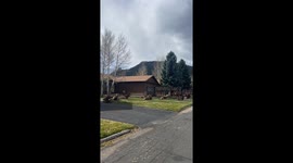 Elk Take Over Neighborhood in Estes Park, Colorado