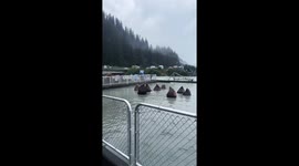 Sea Lions Soak In Summoning Circle