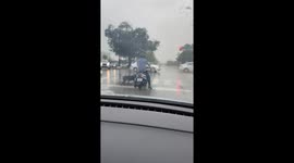 Stray Dog Does Circles Around Motorcycle