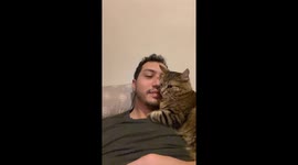 A Very Jealous Cat