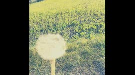 #blowitaway#happines#sunnyday