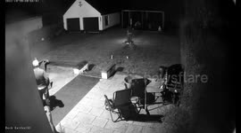 Backyard Fireworks Fiasco