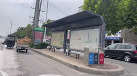 Golden Retrievers ride together on the back of trailer in China