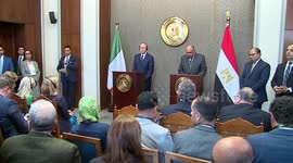 Egyptian FM calls for establishment of independent Palestinian state